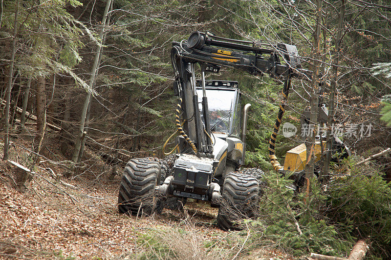 森林里的Feller buncher